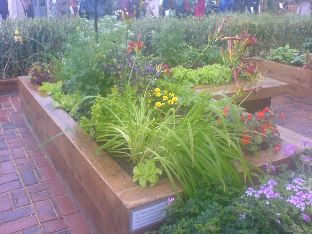 raised beds for disabled gardeners