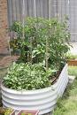 raised bed using recycled materials
